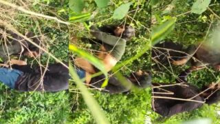 Mallu outdoor sex porn video of famous couple