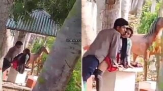 Lovers fucking in park caught by voyeur viral MMS