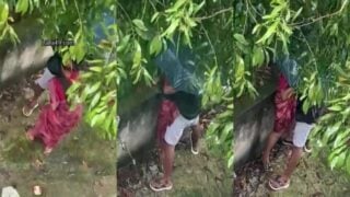 Bhabhi outdoor fucking caught on aerial view